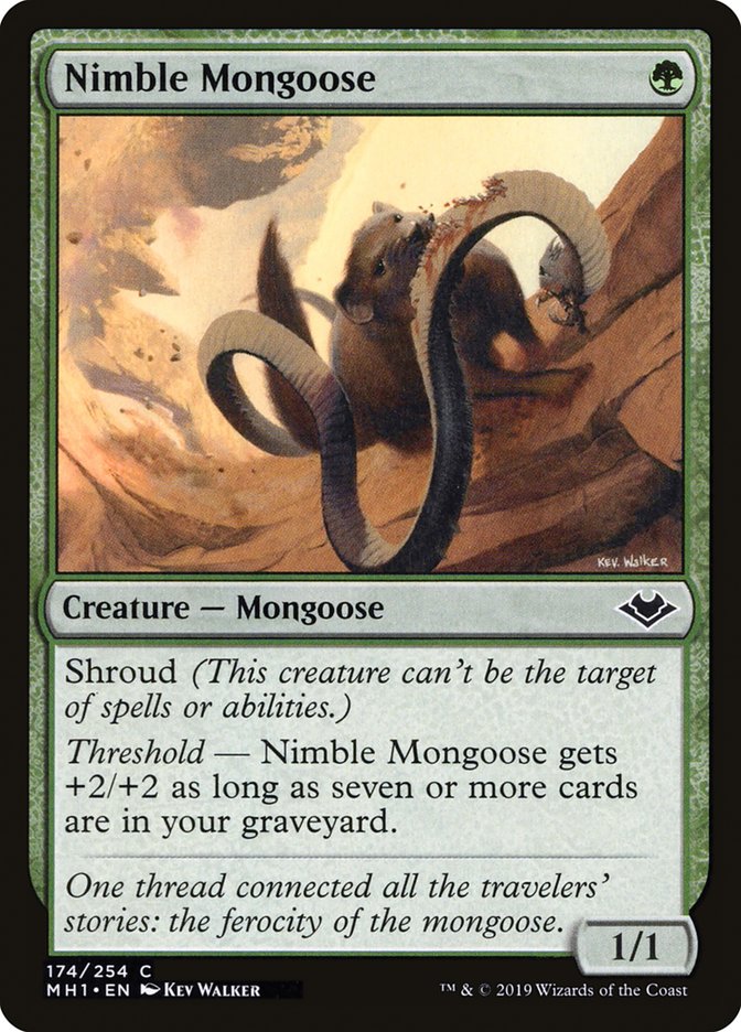 Nimble Mongoose [Modern Horizons] | Gaming Infinity