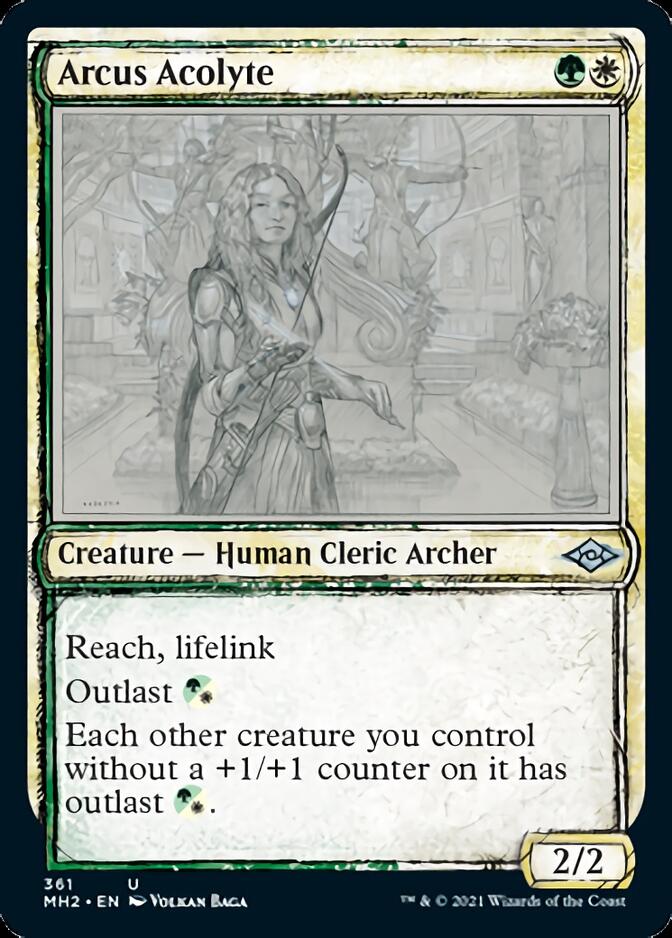 Arcus Acolyte (Sketch) [Modern Horizons 2] | Gaming Infinity