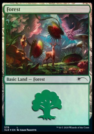 Forest (Predatory) (578) [Secret Lair Drop Promos] | Gaming Infinity