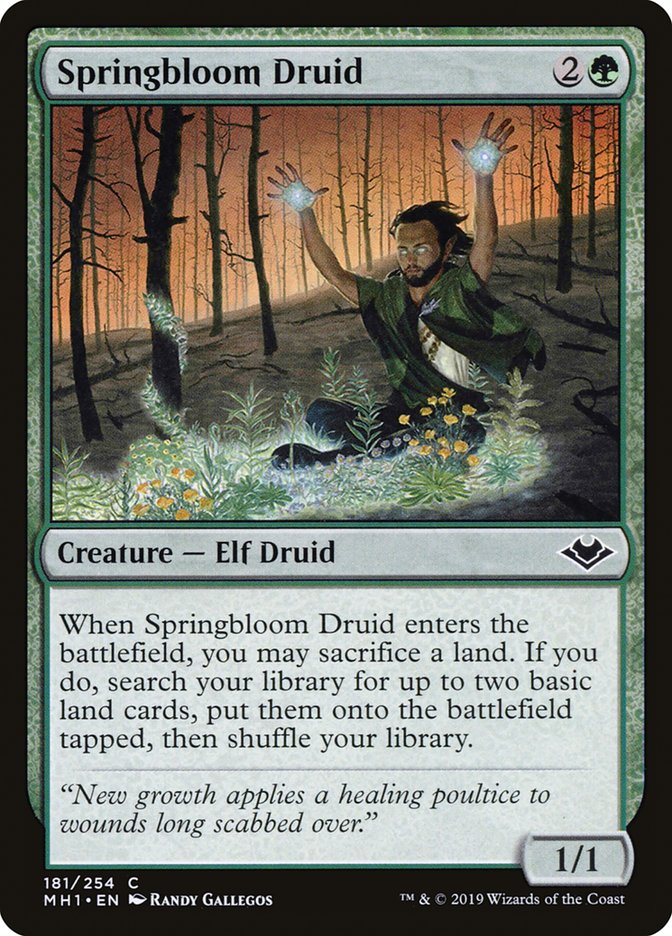 Springbloom Druid [Modern Horizons] | Gaming Infinity