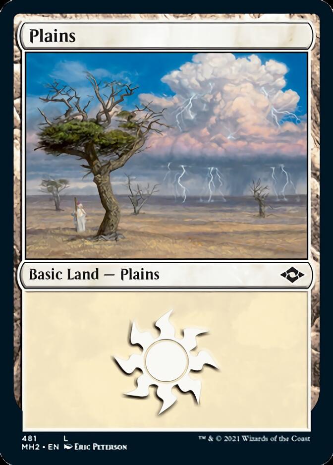 Plains (481) (Foil Etched) [Modern Horizons 2] | Gaming Infinity