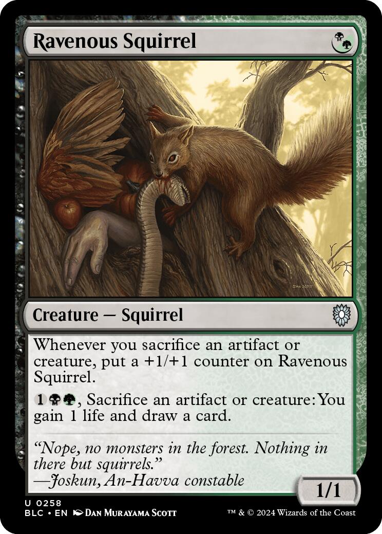 Ravenous Squirrel [Bloomburrow Commander] | Gaming Infinity