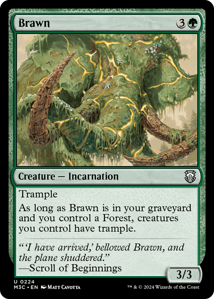 Brawn [Modern Horizons 3 Commander] | Gaming Infinity