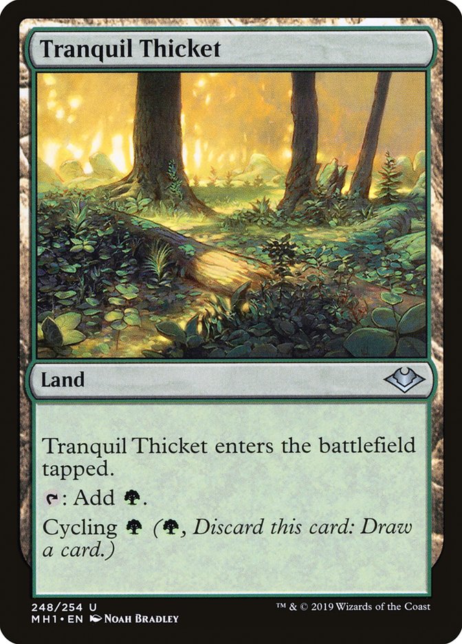 Tranquil Thicket [Modern Horizons] | Gaming Infinity