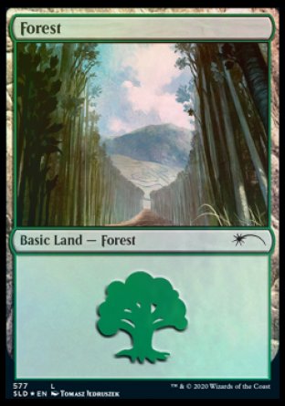 Forest (Walls) (577) [Secret Lair Drop Promos] | Gaming Infinity