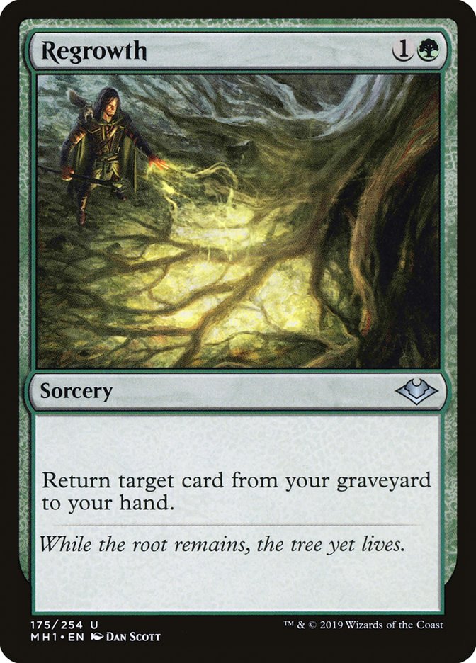 Regrowth [Modern Horizons] | Gaming Infinity