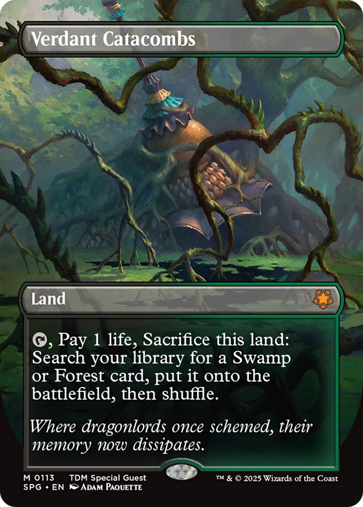 Verdant Catacombs (Borderless) [Tarkir: Dragonstorm Special Guests] | Gaming Infinity