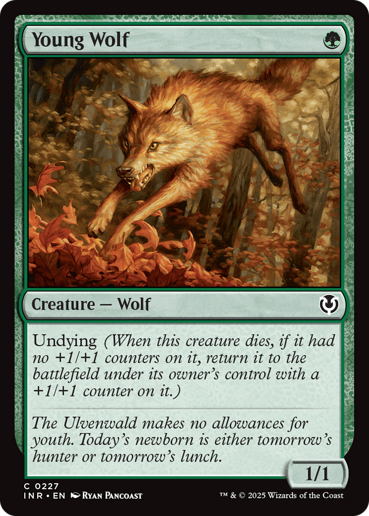 Young Wolf [Innistrad Remastered] | Gaming Infinity