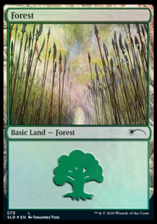 Forest (Elves) (579) [Secret Lair Drop Promos] | Gaming Infinity