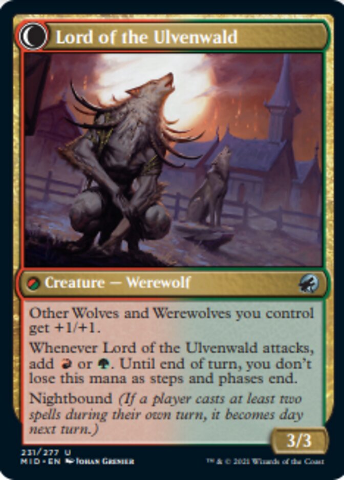 Kessig Naturalist // Lord of the Ulvenwald [Innistrad: Midnight Hunt] | Gaming Infinity