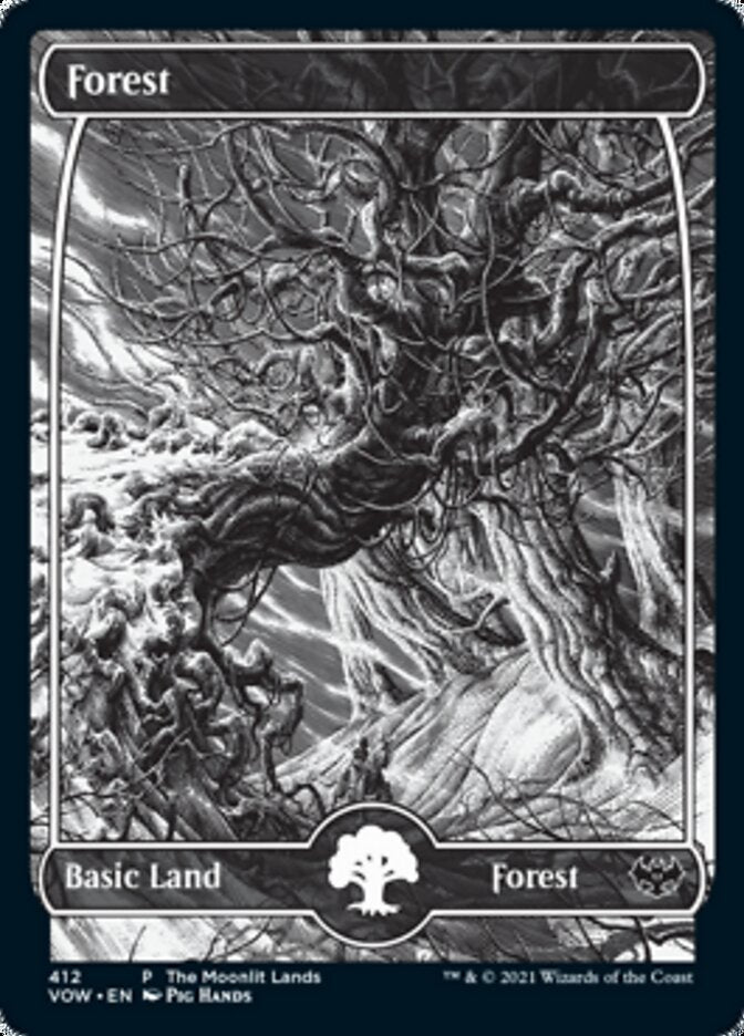 Forest (The Moonlit Lands) (Foil Etched) [Innistrad: Crimson Vow Promos] | Gaming Infinity