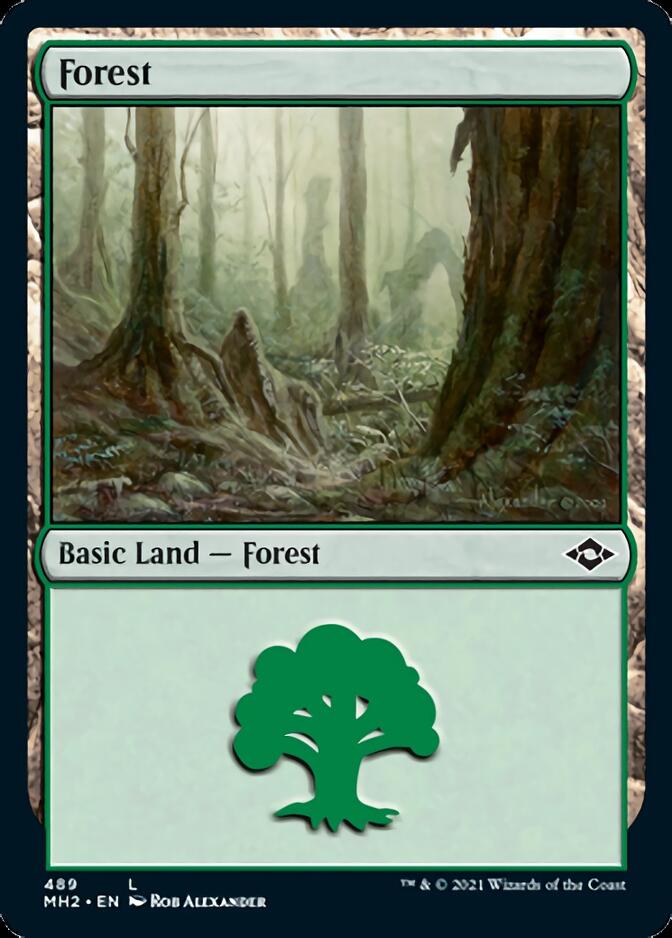 Forest (489) (Foil Etched) [Modern Horizons 2] | Gaming Infinity