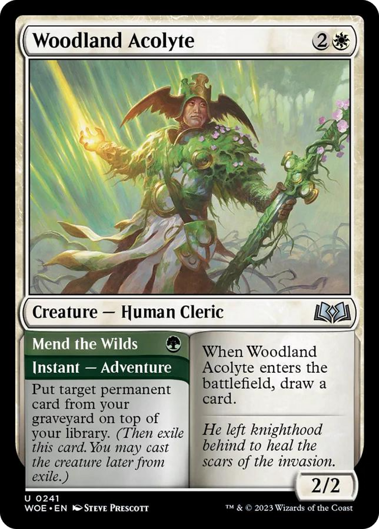 Woodland Acolyte // Mend the Wilds [Wilds of Eldraine] | Gaming Infinity