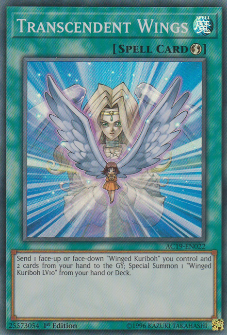 Transcendent Wings [AC19-EN022] Super Rare | Gaming Infinity