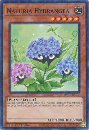 Naturia Hydrangea (Duel Terminal) [HAC1-EN107] Common | Gaming Infinity