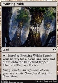 Evolving Wilds [Duel Decks: Zendikar vs. Eldrazi] | Gaming Infinity