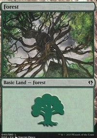 Forest (40) [Duel Decks: Zendikar vs. Eldrazi] | Gaming Infinity