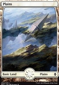 Plains (254) - Full Art [Battle for Zendikar] | Gaming Infinity