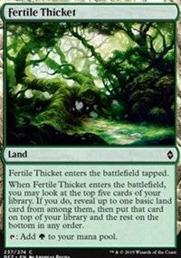 Fertile Thicket [Battle for Zendikar] | Gaming Infinity