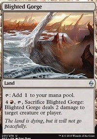 Blighted Gorge [Battle for Zendikar] | Gaming Infinity