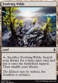 Evolving Wilds [Battle for Zendikar] | Gaming Infinity