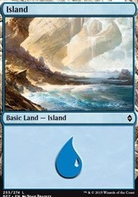 Island (255) [Battle for Zendikar] | Gaming Infinity
