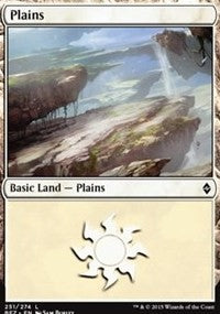 Plains (251) [Battle for Zendikar] | Gaming Infinity