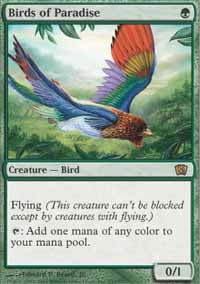 Birds of Paradise [Eighth Edition] | Gaming Infinity