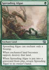 Spreading Algae [Eighth Edition] | Gaming Infinity