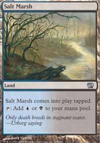 Salt Marsh [Eighth Edition] | Gaming Infinity