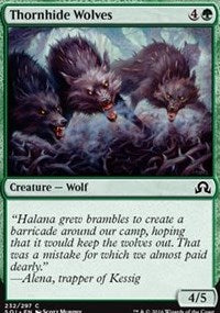 Thornhide Wolves [Shadows over Innistrad] | Gaming Infinity