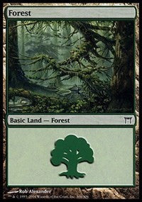 Forest (306) [Champions of Kamigawa] | Gaming Infinity