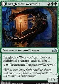 Tangleclaw Werewolf [Eldritch Moon] | Gaming Infinity