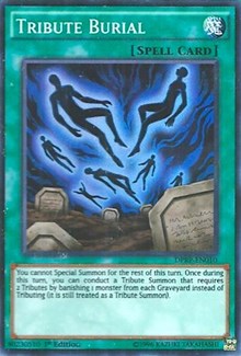 Tribute Burial [Duelist Pack: Rivals of the Pharaoh] [DPRP-EN010] | Gaming Infinity