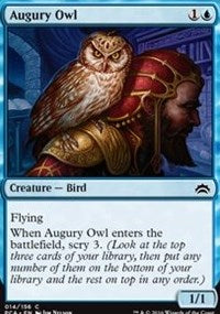 Augury Owl [Planechase Anthology] | Gaming Infinity