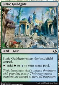 Simic Guildgate [Modern Masters 2017] | Gaming Infinity