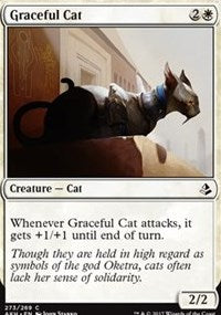 Graceful Cat [Amonkhet] | Gaming Infinity