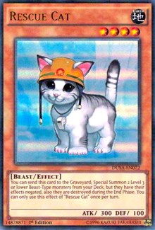 Rescue Cat [Duelist Saga] [DUSA-EN072] | Gaming Infinity