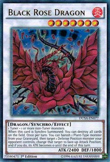 Black Rose Dragon [Duelist Saga] [DUSA-EN077] | Gaming Infinity