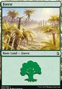 Forest (269) [Amonkhet] | Gaming Infinity