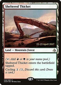 Sheltered Thicket [Amonkhet Promos] | Gaming Infinity