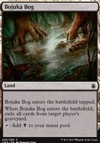 Bojuka Bog [Commander Anthology] | Gaming Infinity