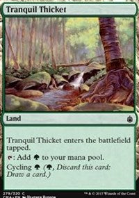 Tranquil Thicket [Commander Anthology] | Gaming Infinity