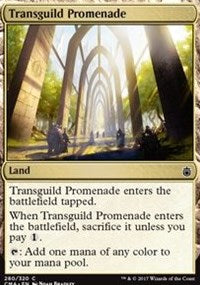 Transguild Promenade [Commander Anthology] | Gaming Infinity