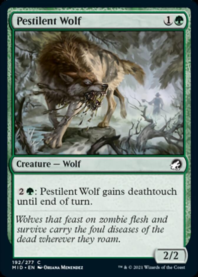 Pestilent Wolf [Innistrad: Midnight Hunt] | Gaming Infinity