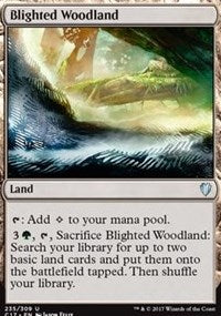 Blighted Woodland [Commander 2017] | Gaming Infinity
