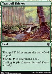 Tranquil Thicket [Commander 2017] | Gaming Infinity