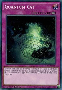 Quantum Cat [Structure Deck: Cyberse Link] [SDCL-EN037] | Gaming Infinity