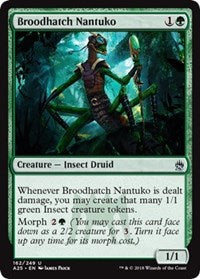 Broodhatch Nantuko [Masters 25] | Gaming Infinity