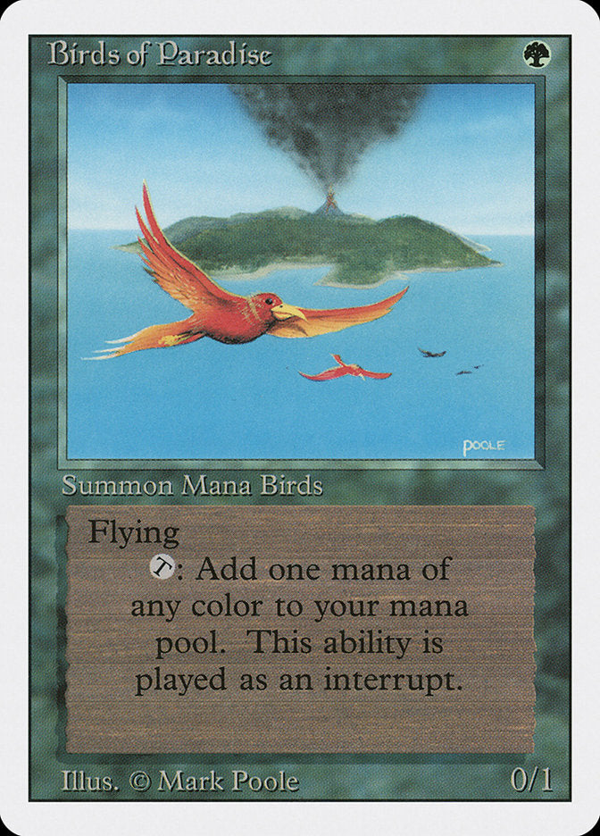 Birds of Paradise [Revised Edition] | Gaming Infinity